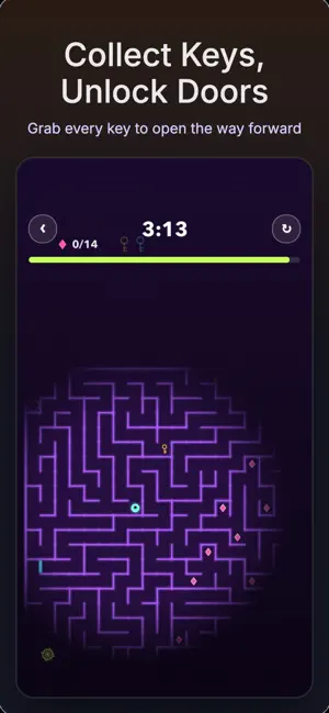 Maze 2000 screenshot 1