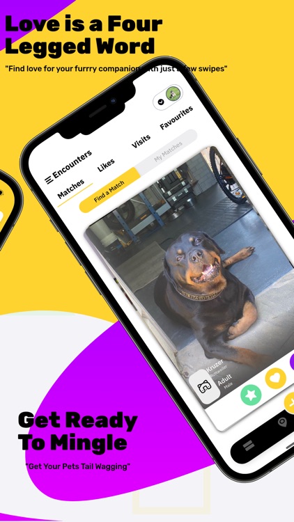 Pawsitive-Pet Dating