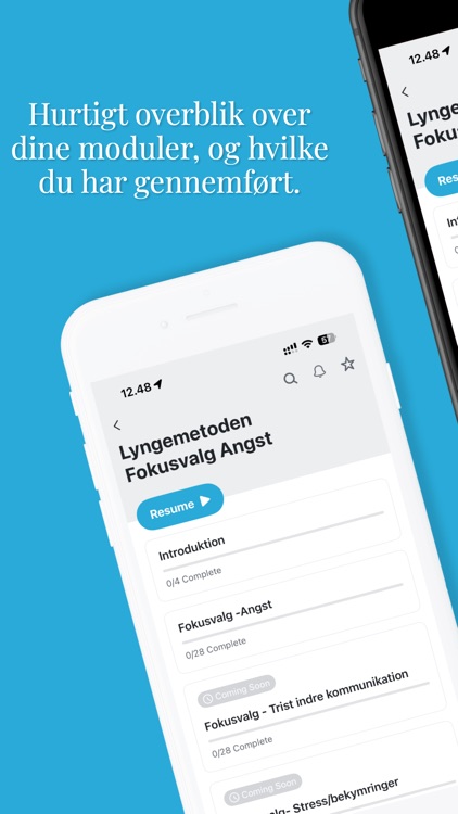 Mit Lyngemetoden screenshot-3