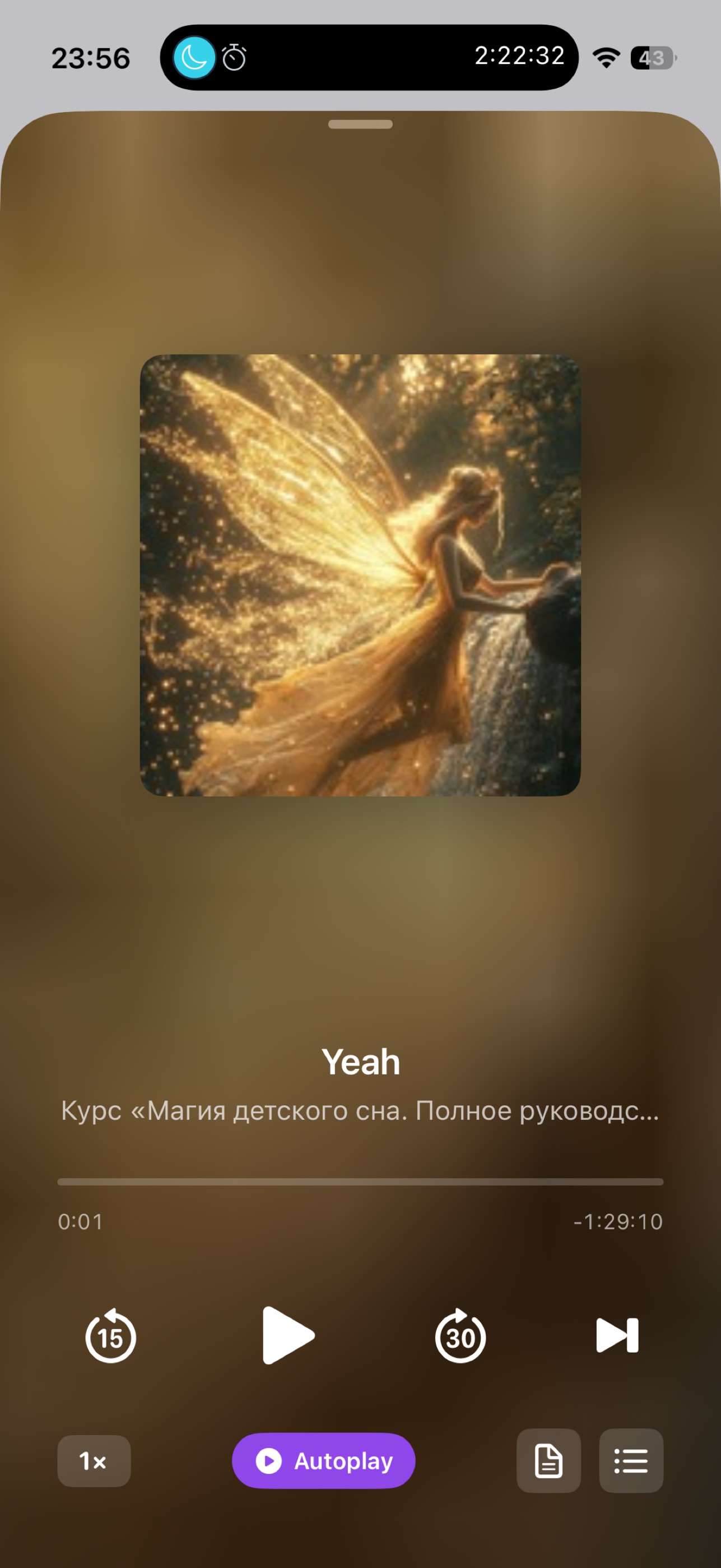 Screenshot 3 of TG Audio Player