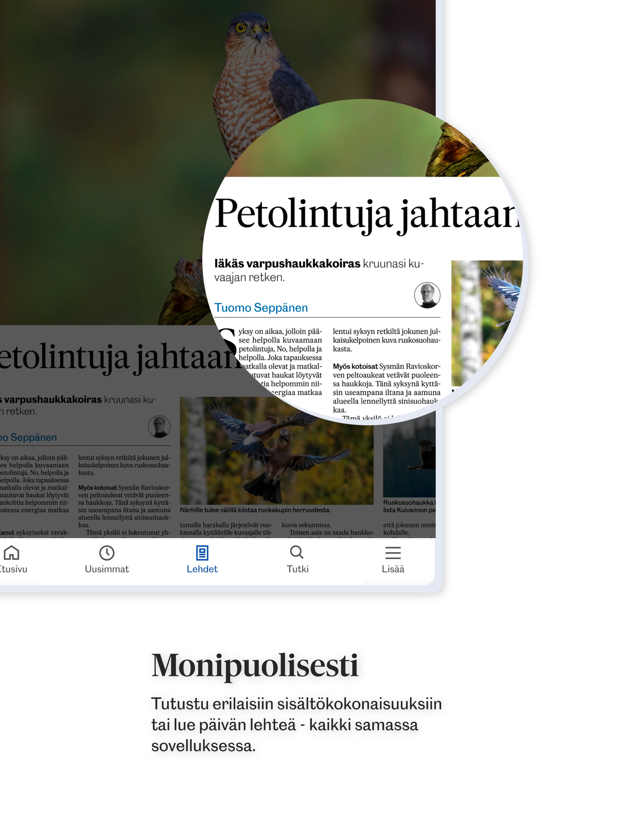 Outokummun Seutu