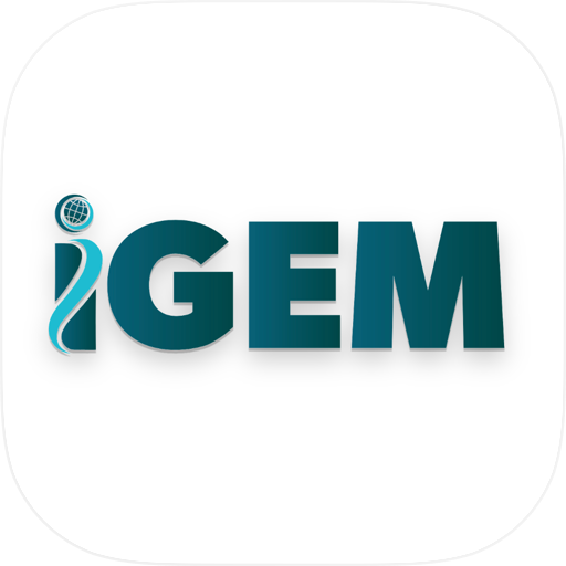 İGEM