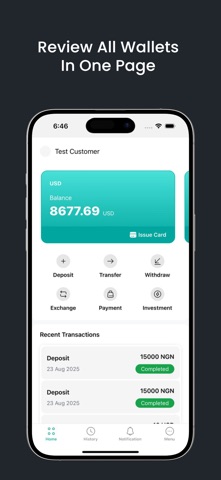 Lois Finance screenshot