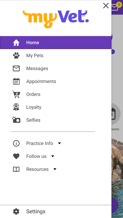 My Vet AH Screenshot