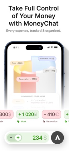 MoneyChat daily budget tracker screenshot