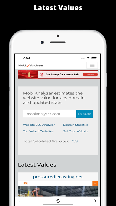 Mobi Analyzer Screenshot