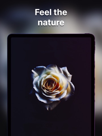 Best Wallpapers 4K iPad screenshot
