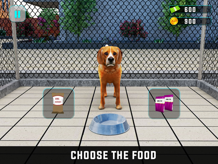 Virtual Pet Adoption Simulator
