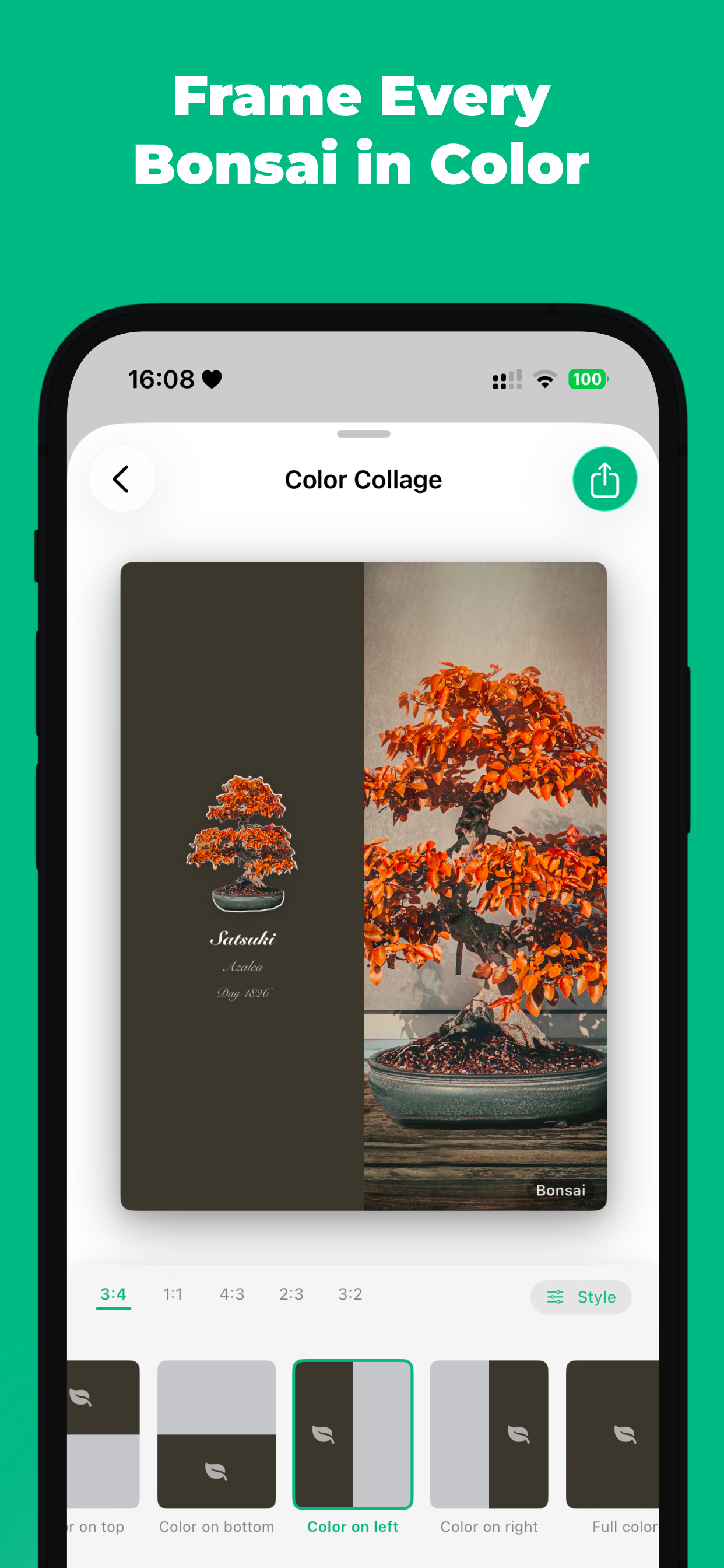 Bonsai: Care & Growth Journal
