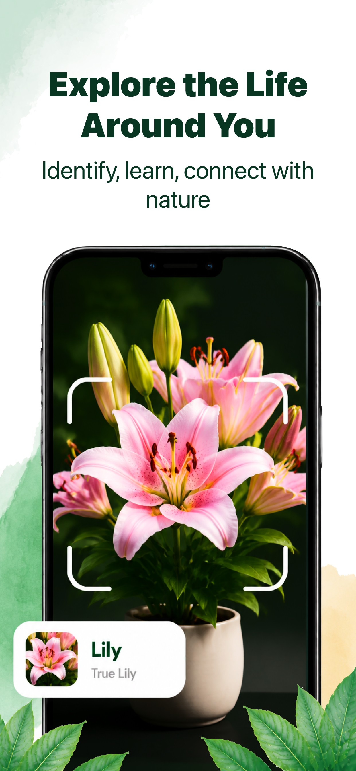 PlantScan:Leaf Identifier screenshot 5