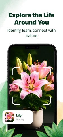 PlantScan:Leaf Identifier Screenshot 5 of 8