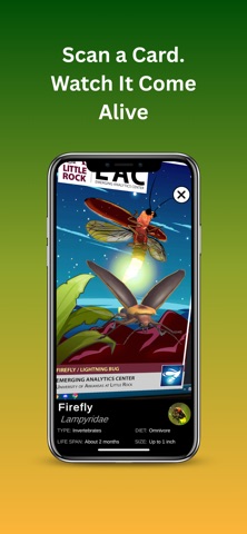 Insects AR screenshot