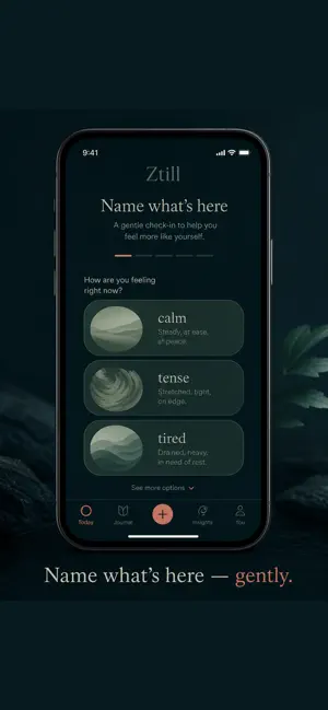 Ztill — 3-Minute Journal screenshot 2