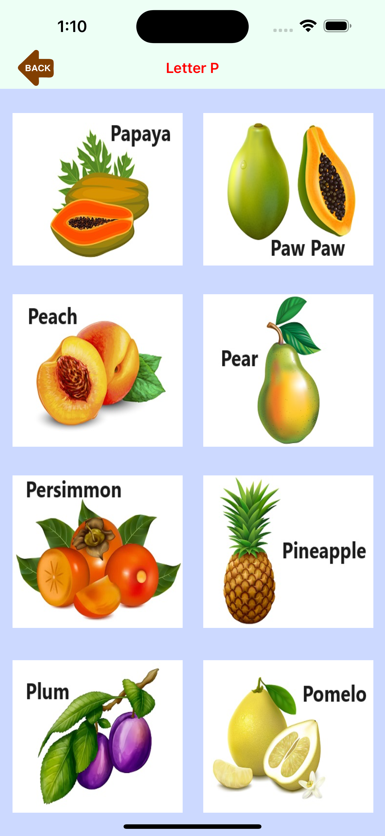Alphabet-Book