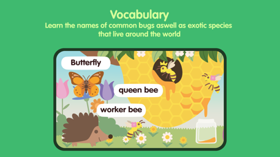 Insects and Bugs for kids Screenshot