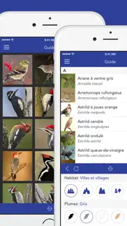 iknow birds lite iPhone Captures Décran 2