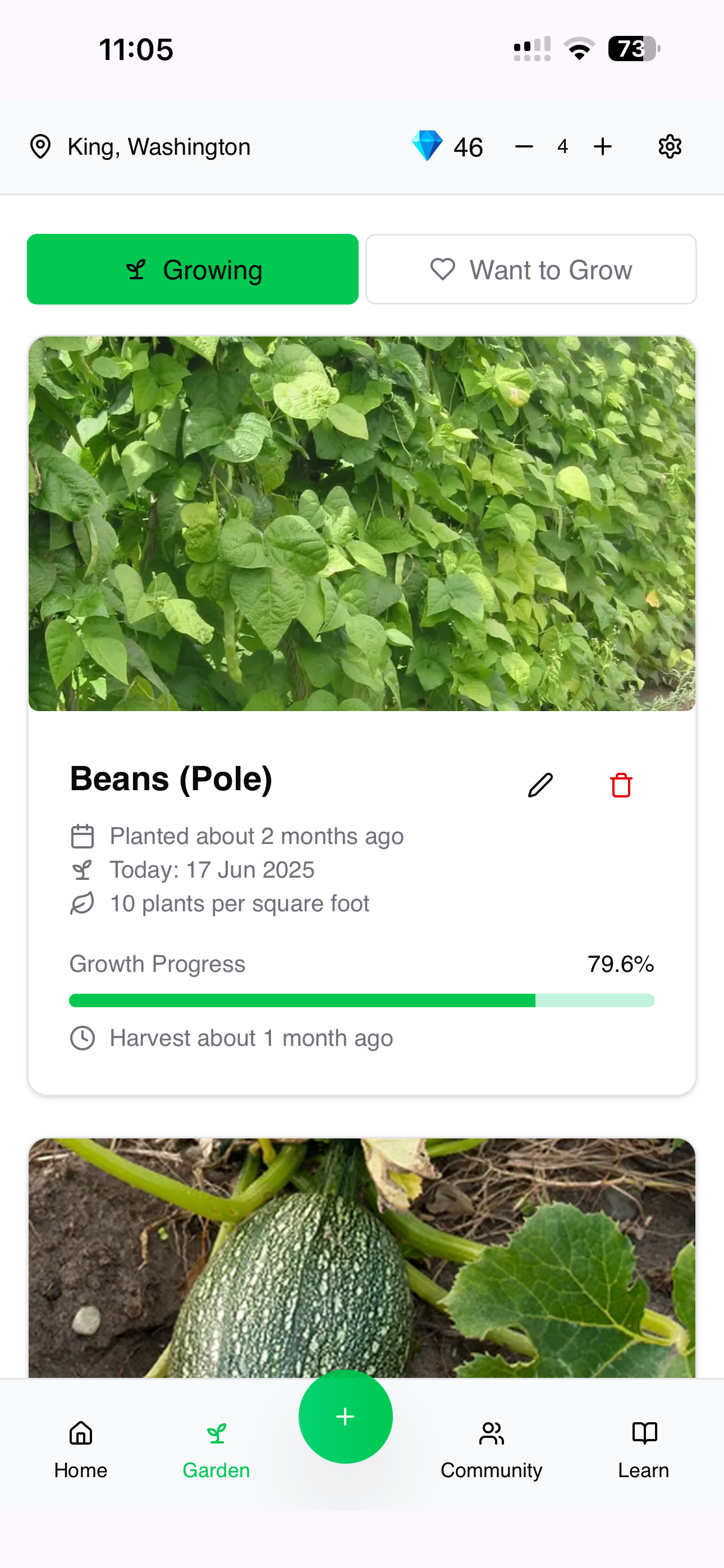 PNW Gardening