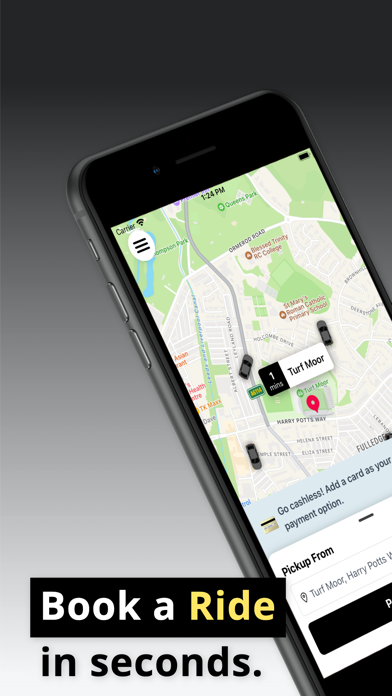 Delta Taxis Screenshot