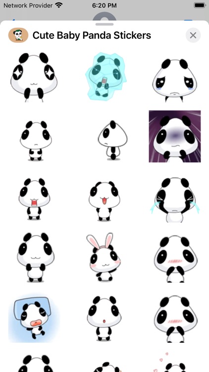 Cute Baby Panda Stickers screenshot-3