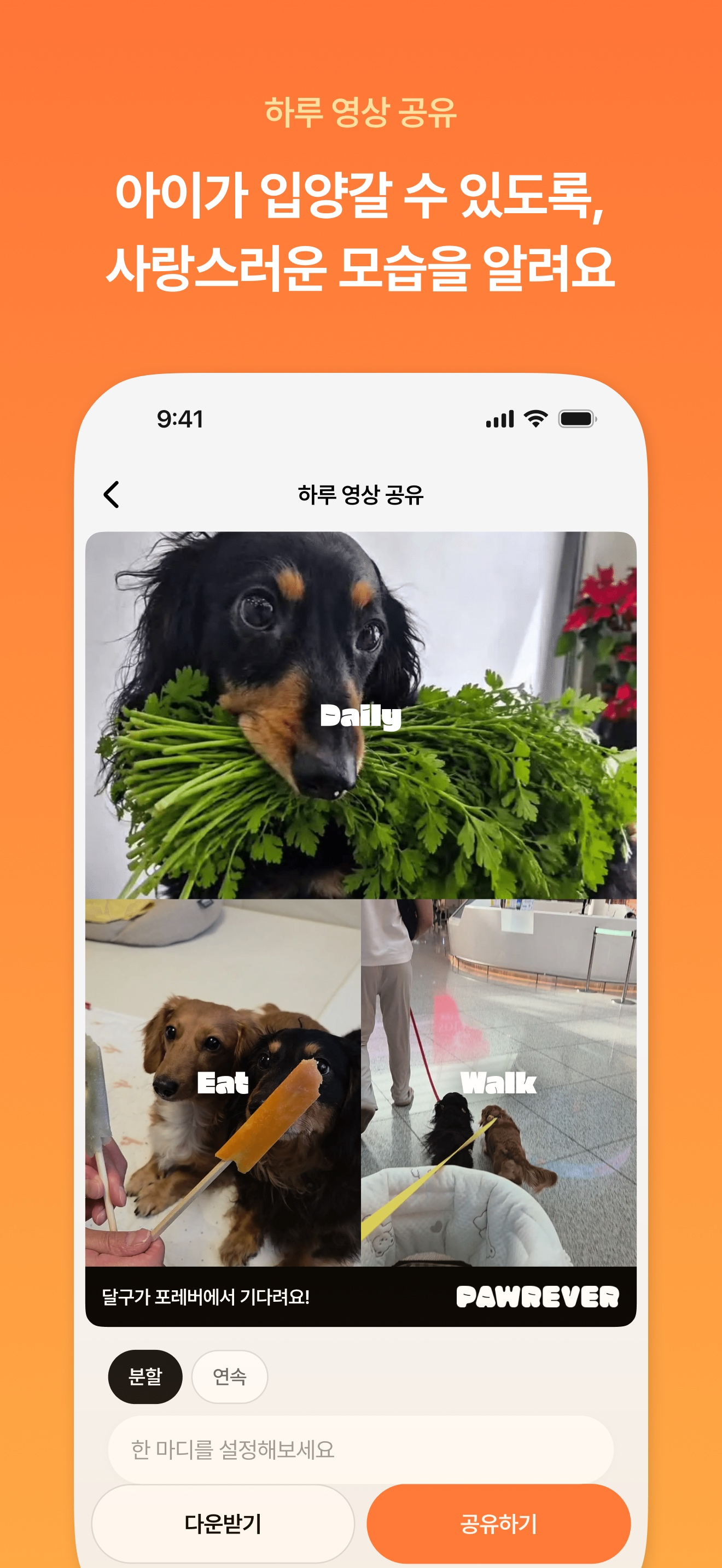 포레버(PAWREVER) - 마음을 잇는 입양 플랫폼 screenshot 8