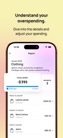 Spendline - Spending Tracker Screenshot 10 of 10