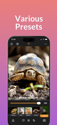 Pet Al: Photo & Video Editor screenshot