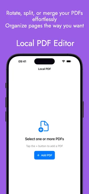 Local PDF screenshot 1
