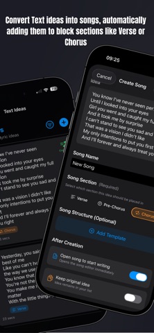 Lyric Blocks iPhone screenshot