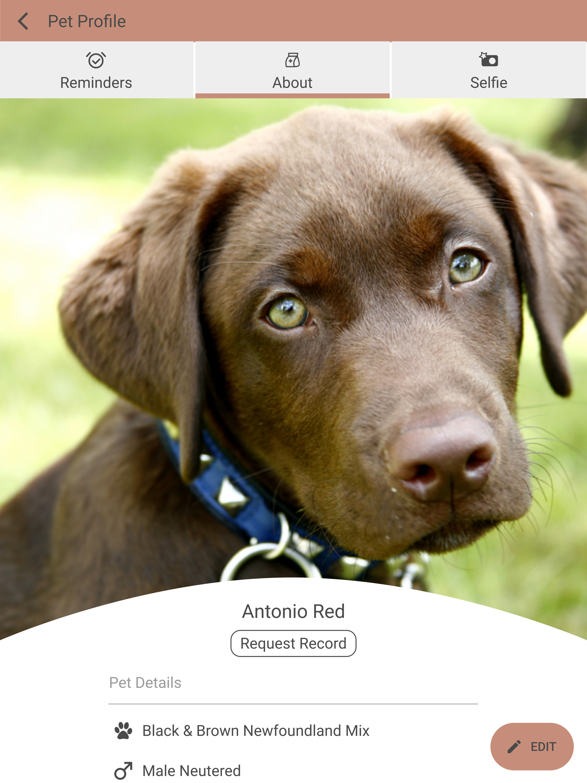 Durant Animal Hospital
