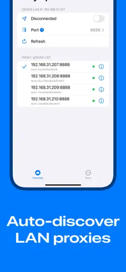 Скриншот ProxyTap на iPhone 2
