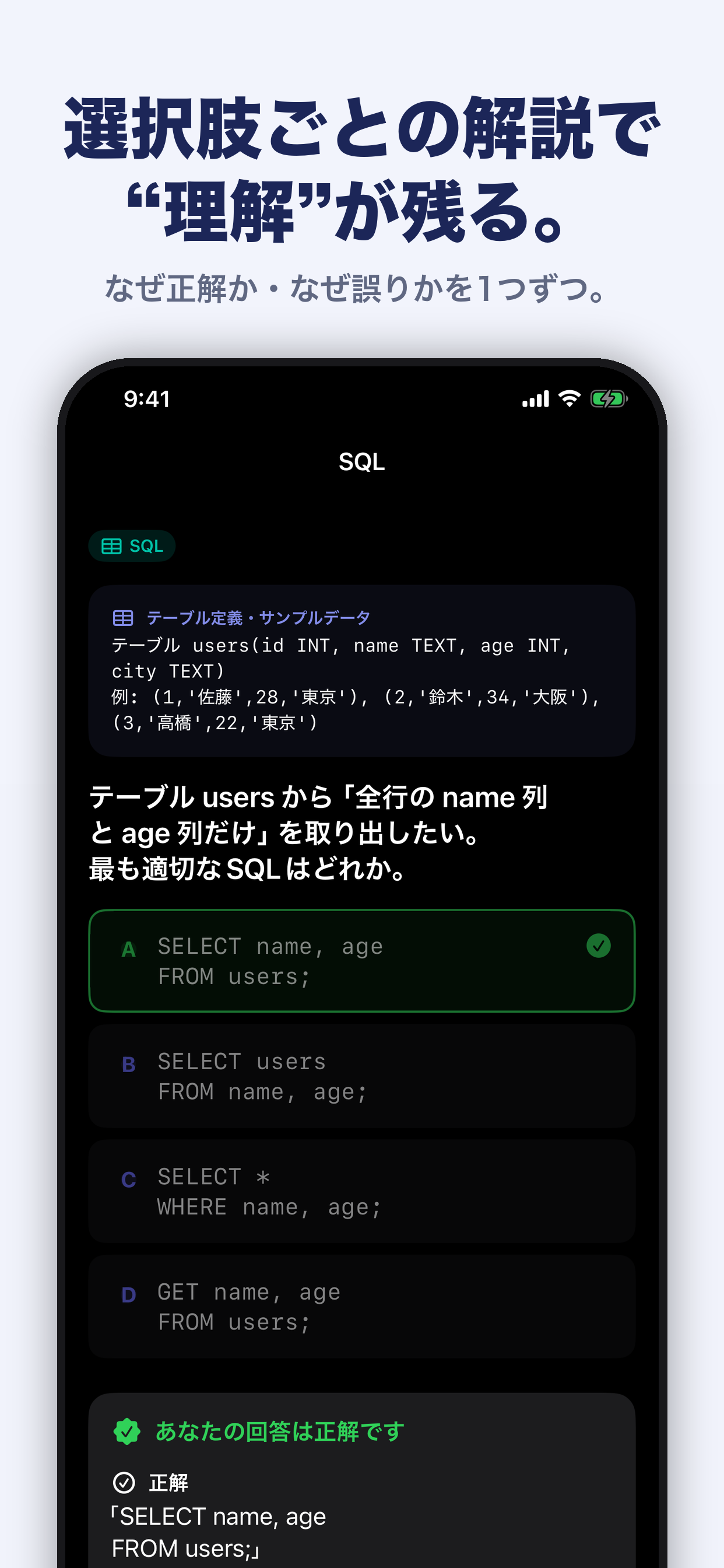 DS検定 リテラシー 模試問題集 screenshot 5