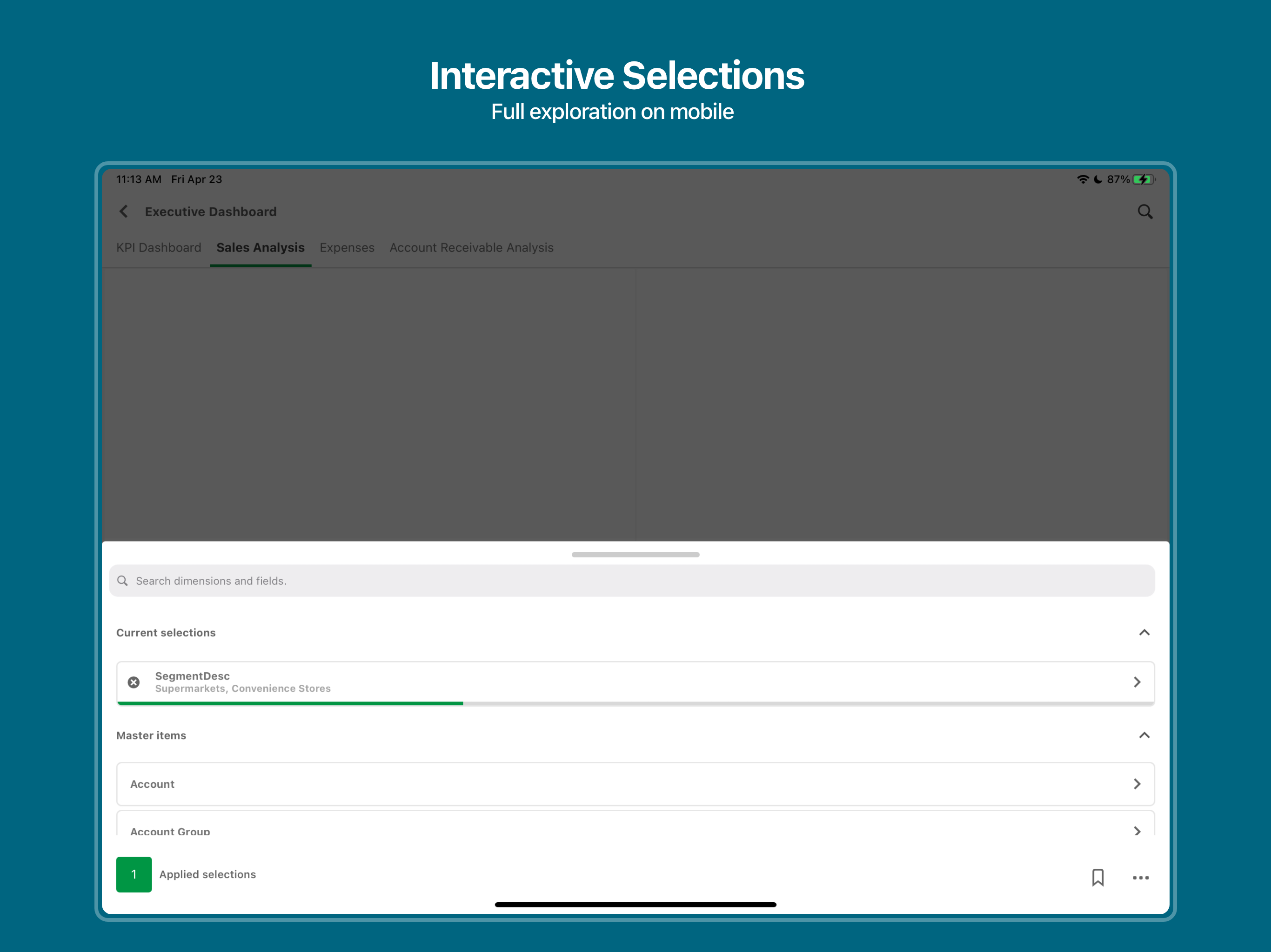 Qlik Analytics screenshot 6