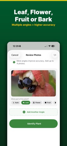 Jamaica Plants: Plant ID iPhone screenshot