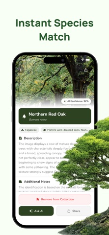 Tree Identifier: Plant & Leaf Screenshot 2 of 4