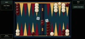 Backgammon Live: Video Chat screenshot 4
