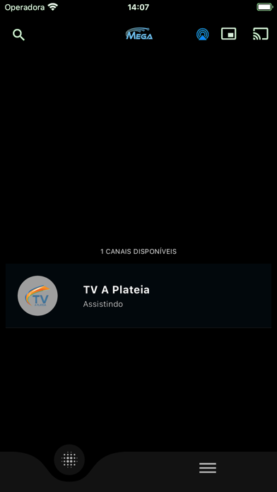 Mega Net TV Screenshot