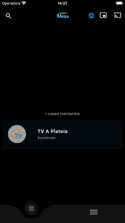 Mega Net TV