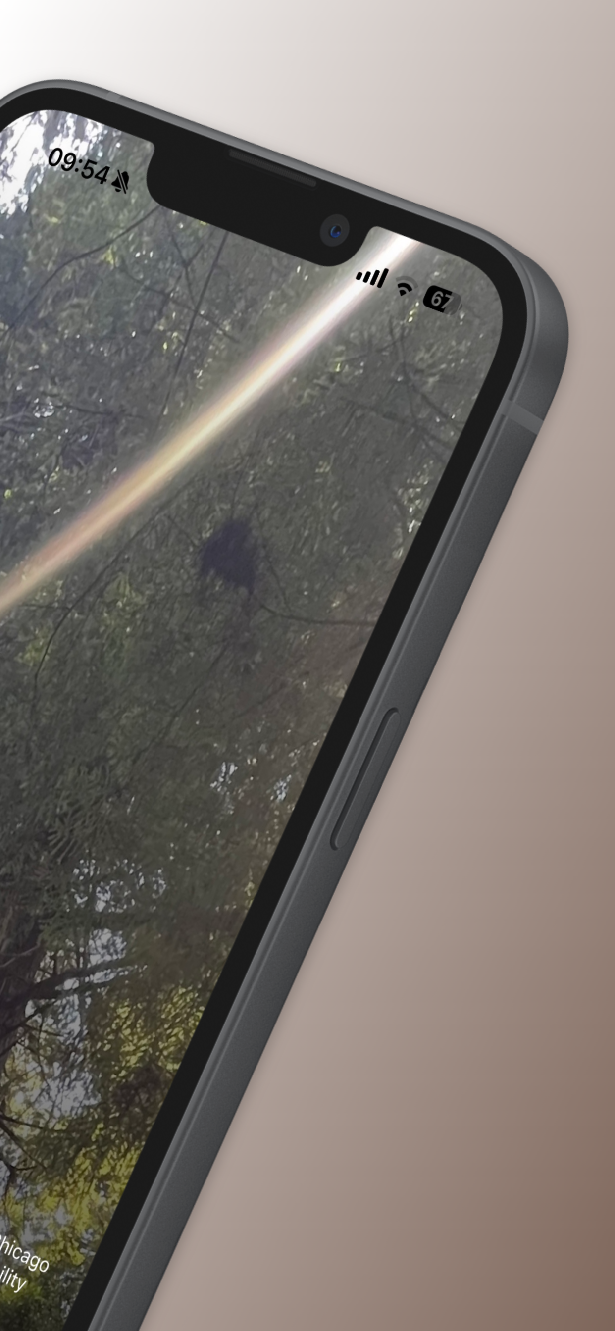 Sequoia:  mindful movement screenshot 2