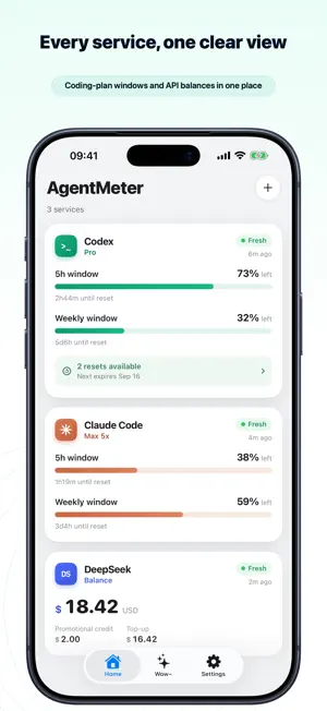 Agent Meter: AI Usage screenshot 4