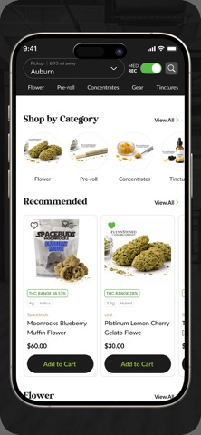 FlynnStoned Screenshot 2 of 4