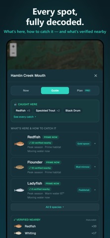 Sounder: Fishing Guide iPhone screenshot