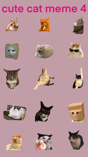Cute Cat Meme 4 screenshot 1