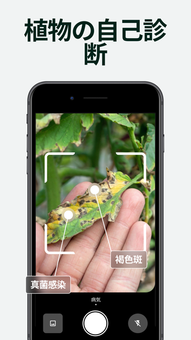 Planto-植物識別子のスクリーンショット - 4