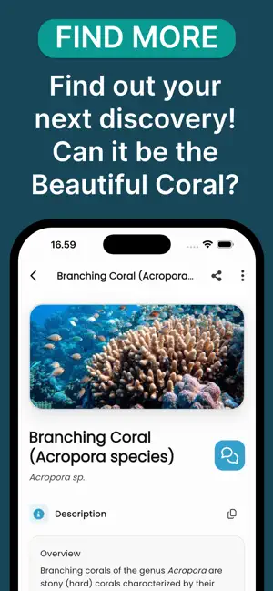Fish Pic: AI Fish Identifier screenshot 4