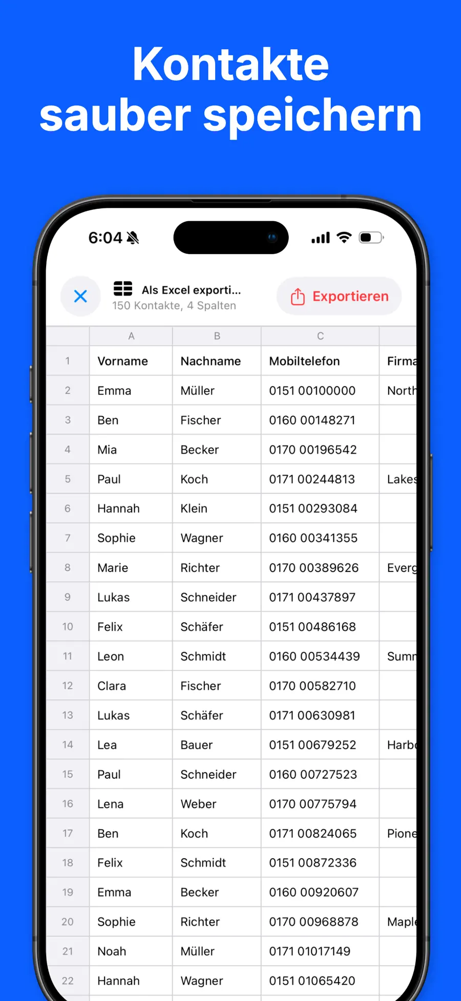 Kontakte Export - Excel CSV screenshot 3