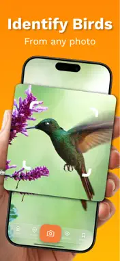 Bird Identifier - FeatherScan screenshot 1