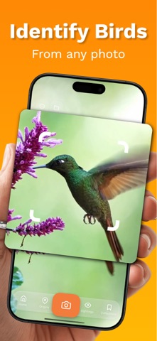 Bird Identifier - FeatherScan Screenshot 1 of 7