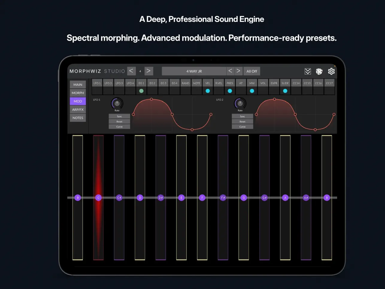Screenshot #5 pour MorphWiz Studio