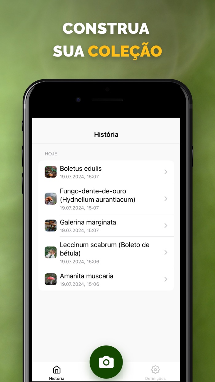 Identificador de cogumelos