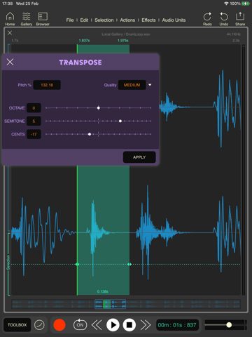 Wavebox Audio Editor iPad screenshot